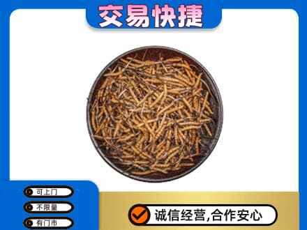 桂林回收散虫草